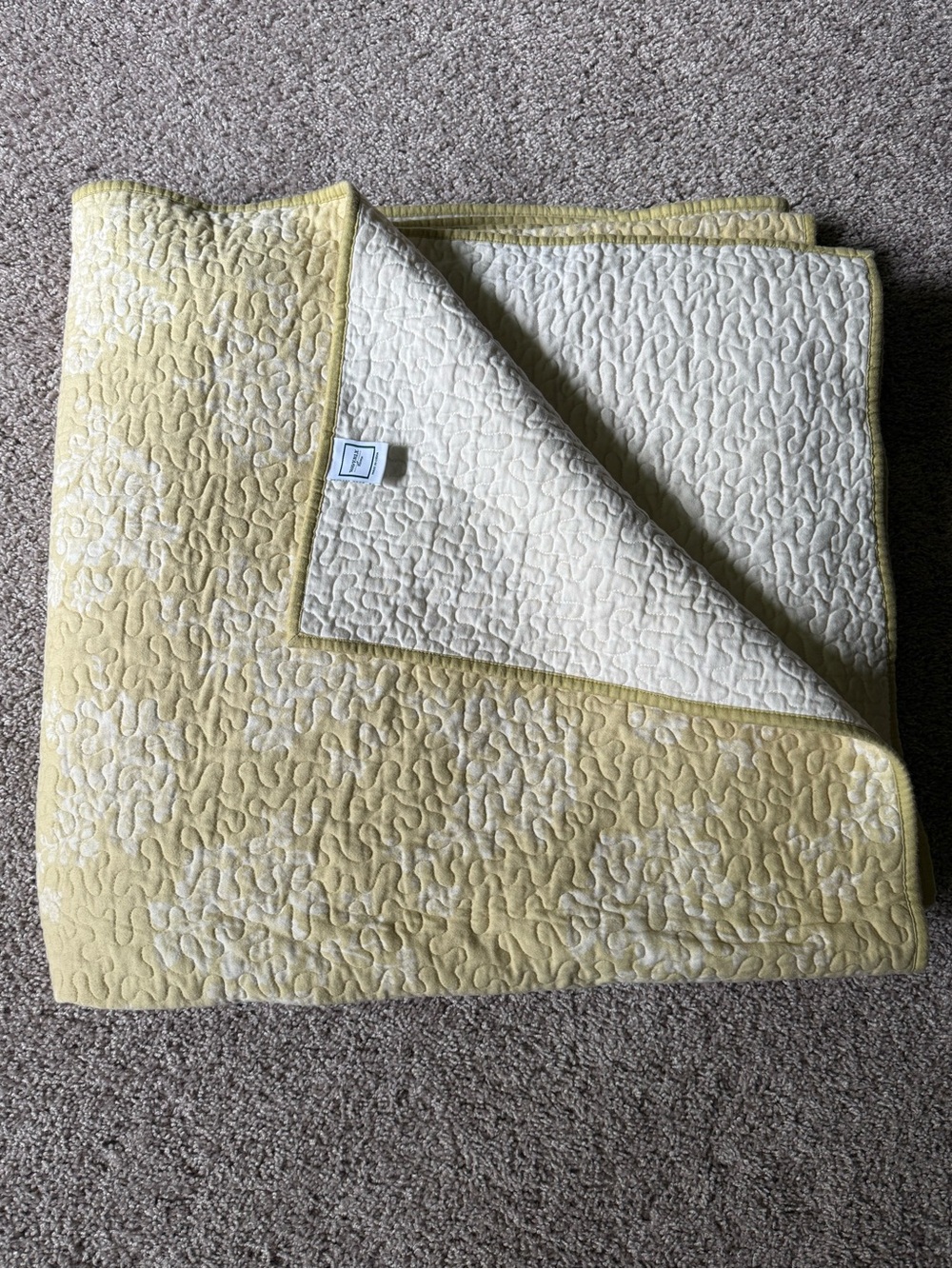 Waverly Home Queen Quilted Bedspread